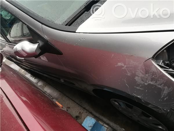 Renault Clio III Puerta delantera 