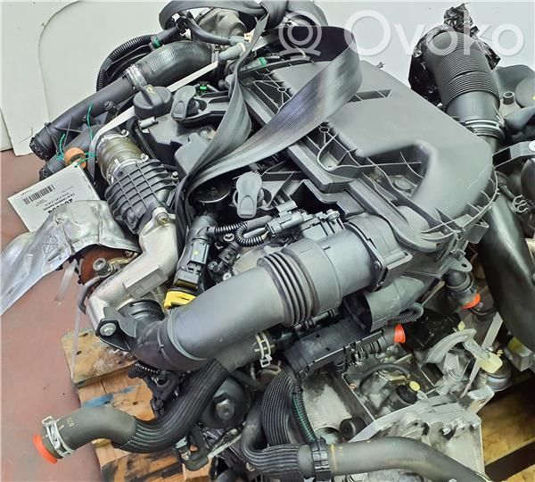 Motor   9HP