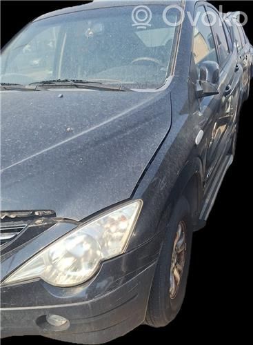 SsangYong Actyon Galinės durys 