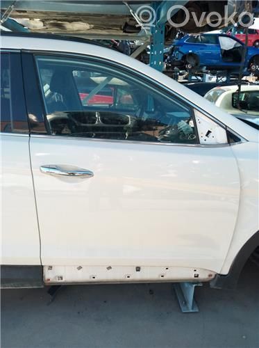 Hyundai Santa Fe Puerta delantera 