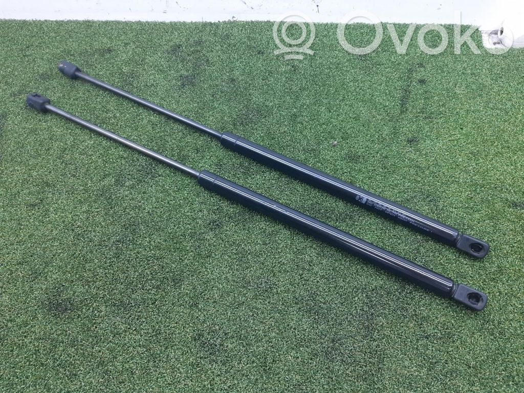 Ford Focus C-MAX Tailgate/trunk strut/damper 