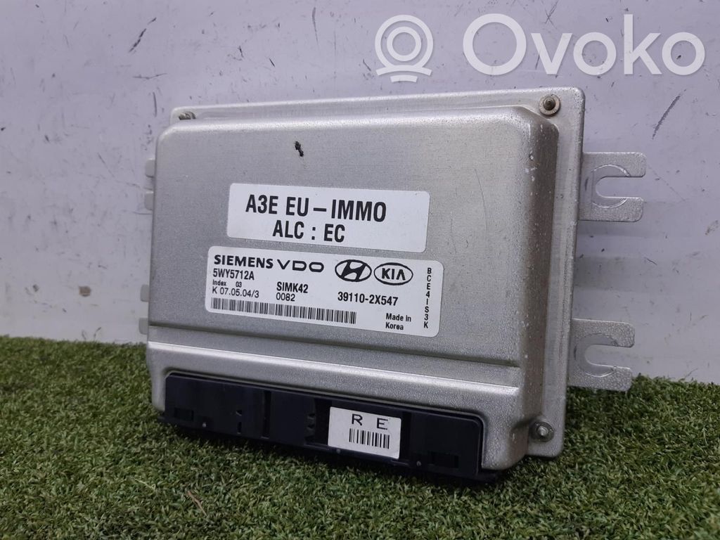 Engine control unit/module ECU   391102X547