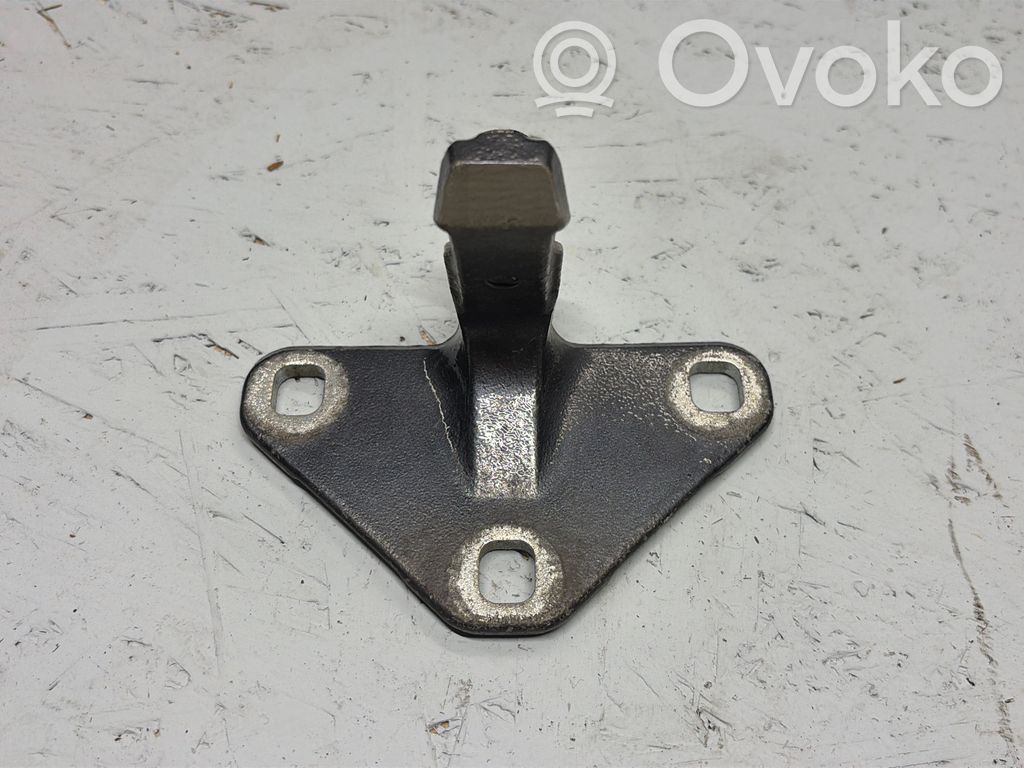 BMW X5 E70 Tailgate/trunk/boot hinge 
