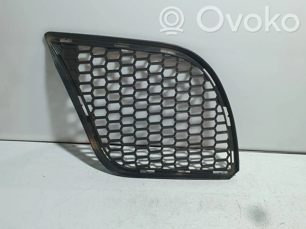BMW X6 E71 Front bumper lower grill 
