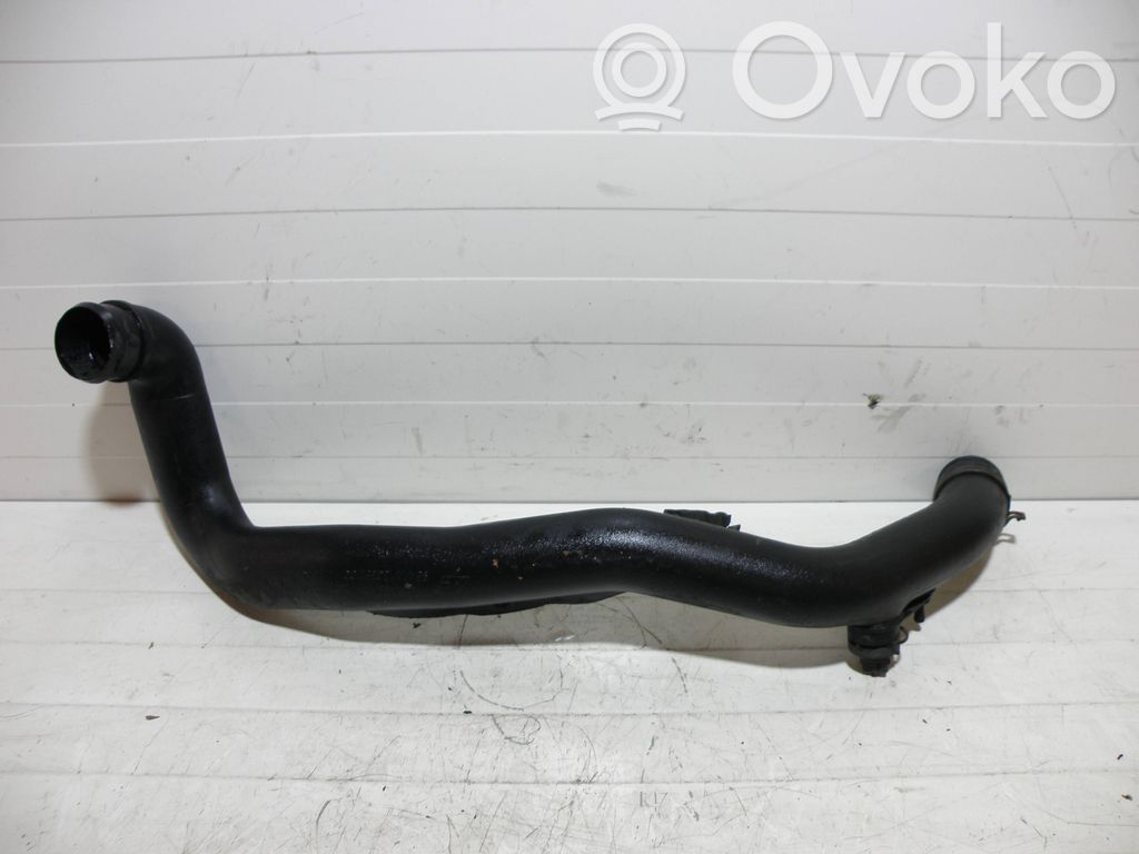 Volkswagen PASSAT B5 Interkūlera šļūtene (-es) / caurule (-es) 