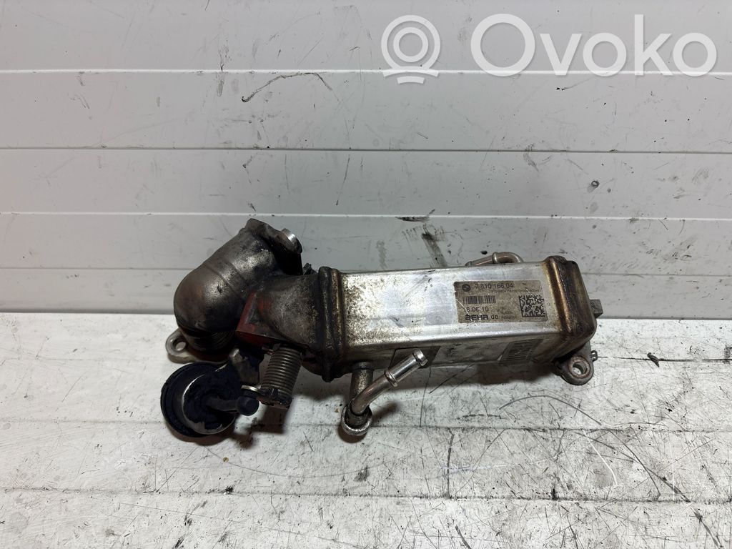 EGR dzesētājs   7810166,180610,R8998006