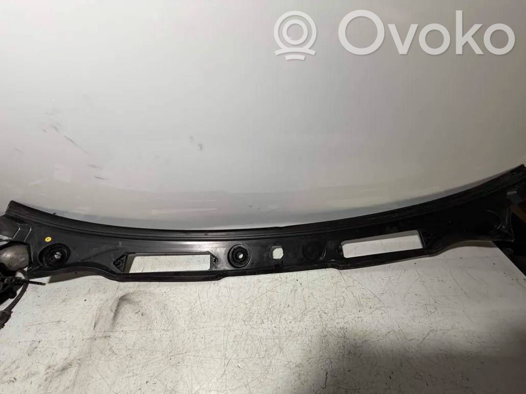 Wiper trim   7058220