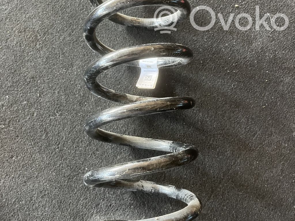 Rear coil spring   118806300A,1188063