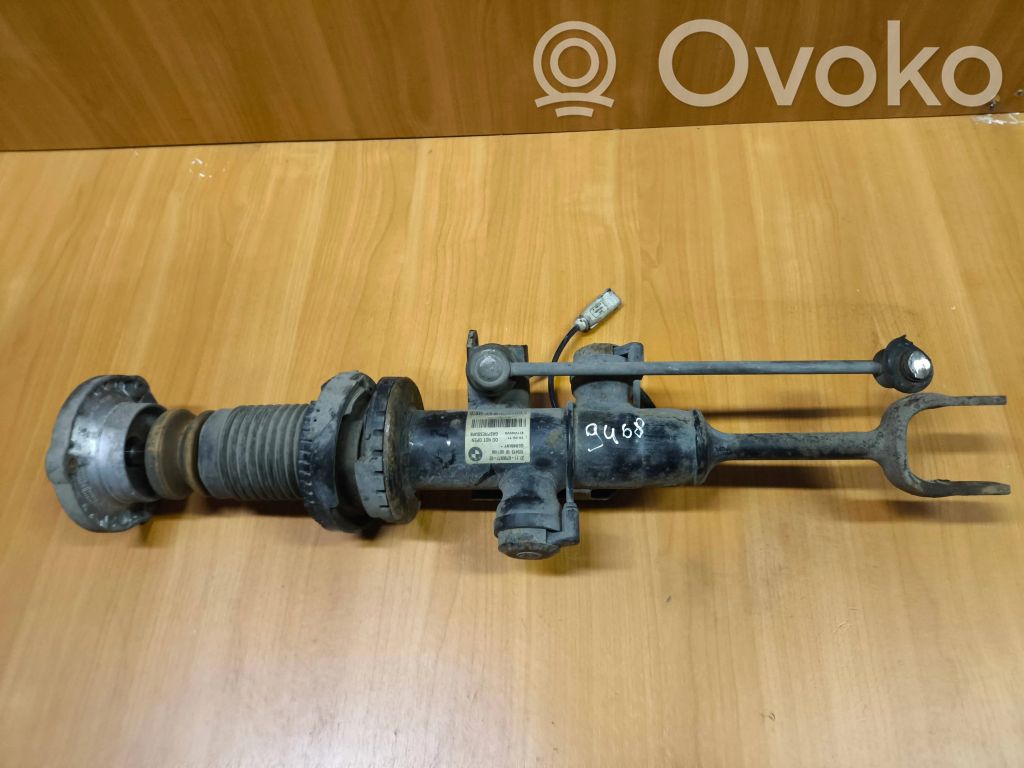Amortyzator przedni   6796977,E11V022VA,10541310