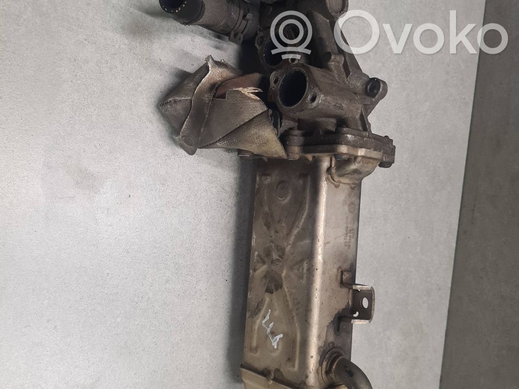 Volkswagen PASSAT B6 Refrigerador de la válvula EGR 
