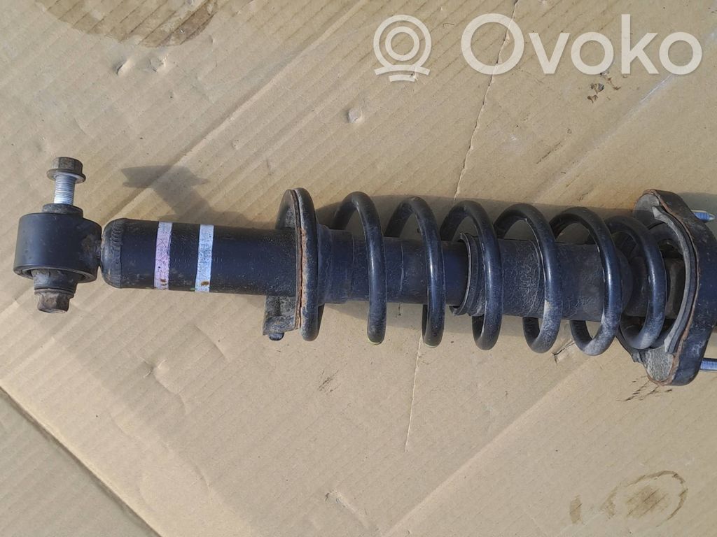 Stoßdämpfer hinten   4162A496