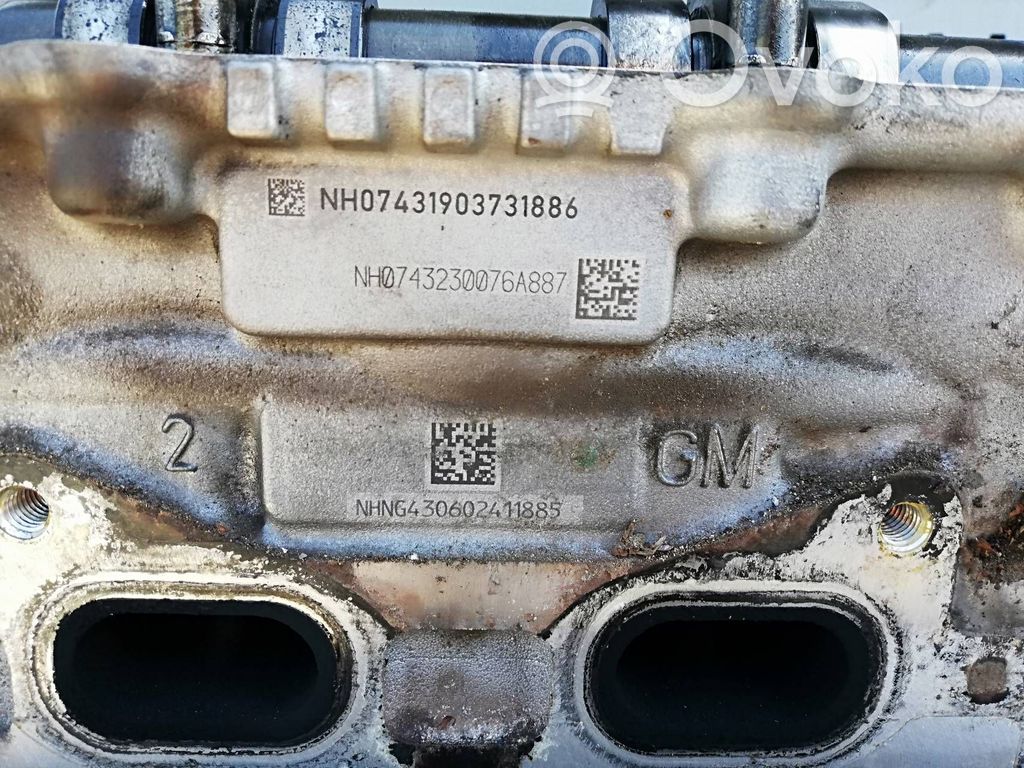 Engine head   55596885,NH07431903731886,NH0743230076A887