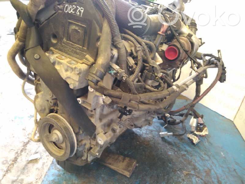 Motor   8H01
