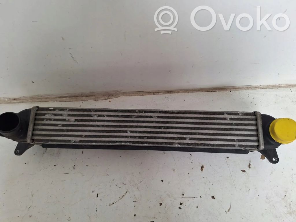 Interkūlerio radiatorius   2827008000