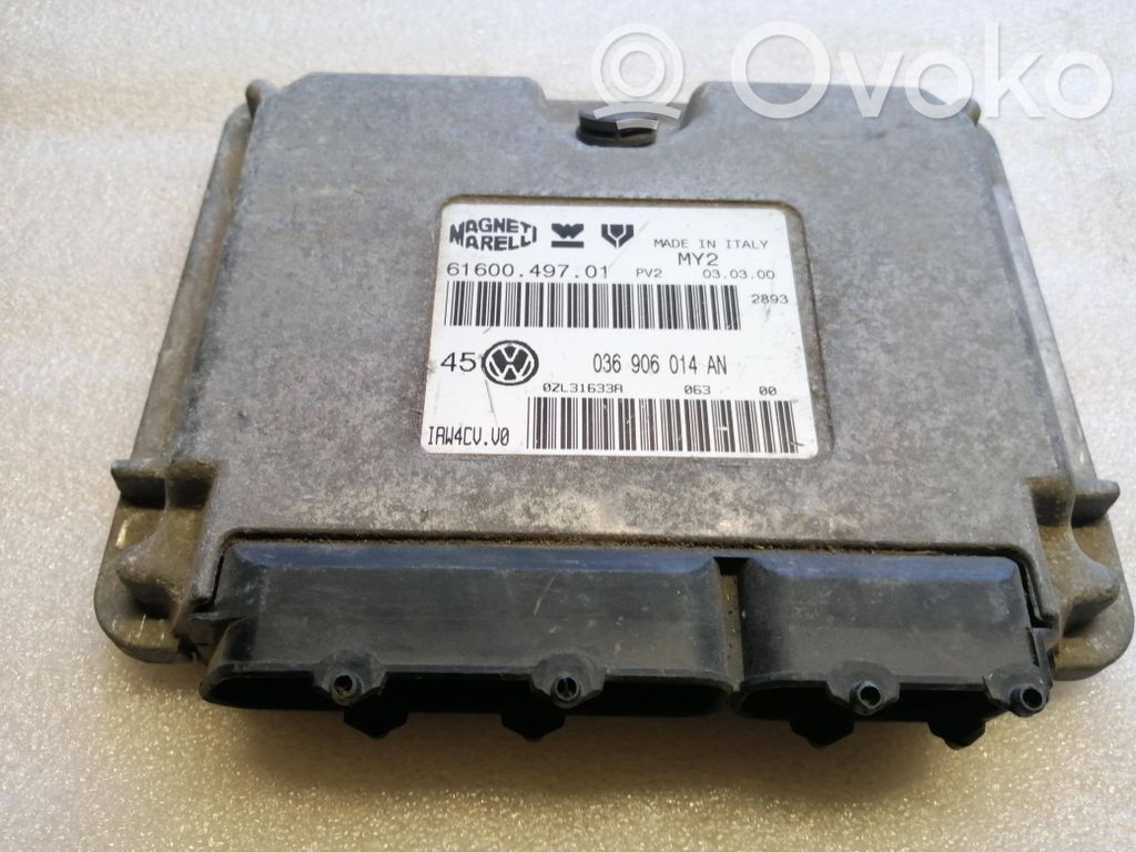 Engine control unit/module   036906014AN,0ZL31633A,6160049701
