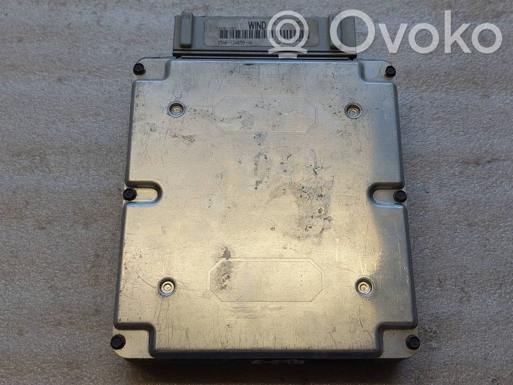 Engine control unit/module   95AB12A650XA