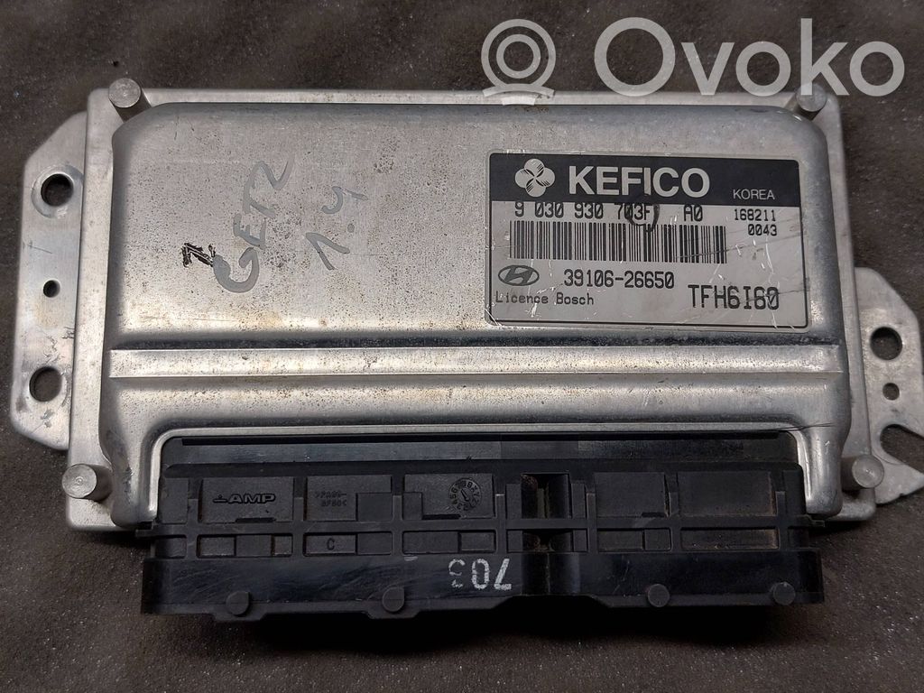 Hyundai Getz Engine control unit/module 