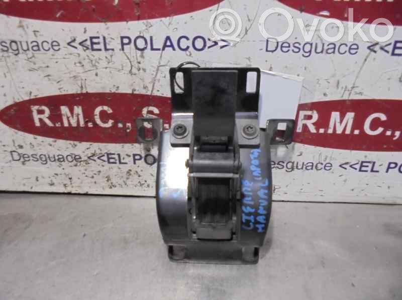Tie down hook / loop   701836003
