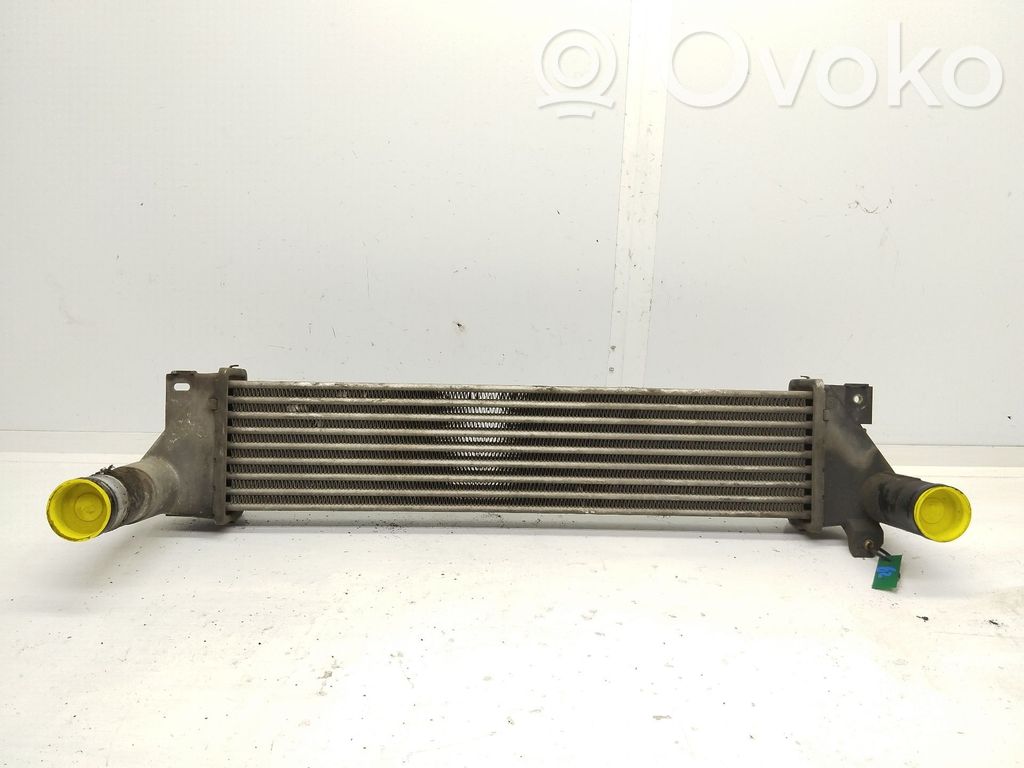 Radiador intercooler   PNG000021