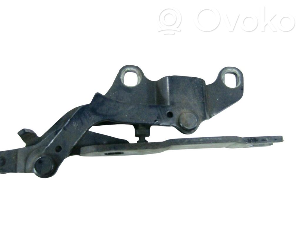 Scharnier Motorhaube   7115264,7115264,41627133816,41627210676,7210676