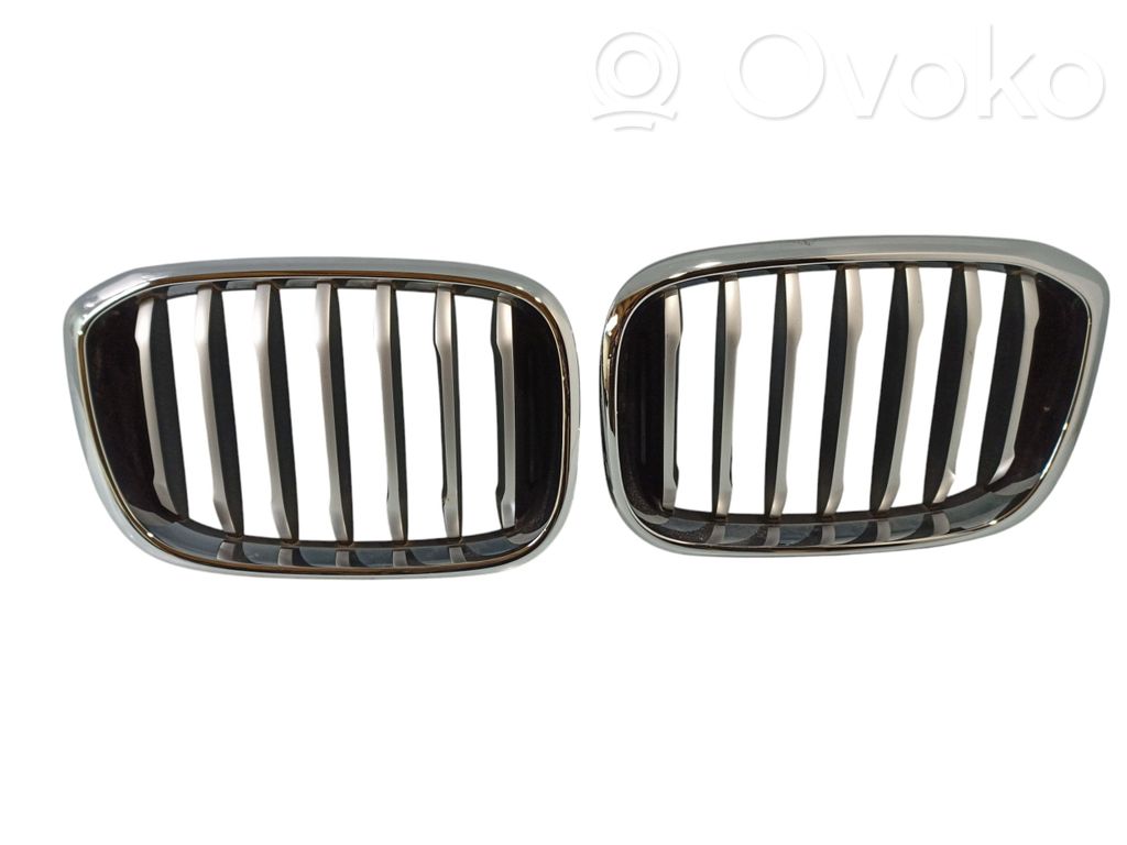 BMW X3 G01 Front grill 