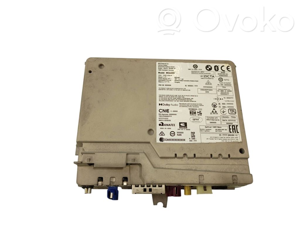 BMW 5 G60 G61 Panel radia 
