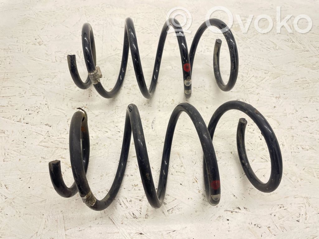 Front coil spring