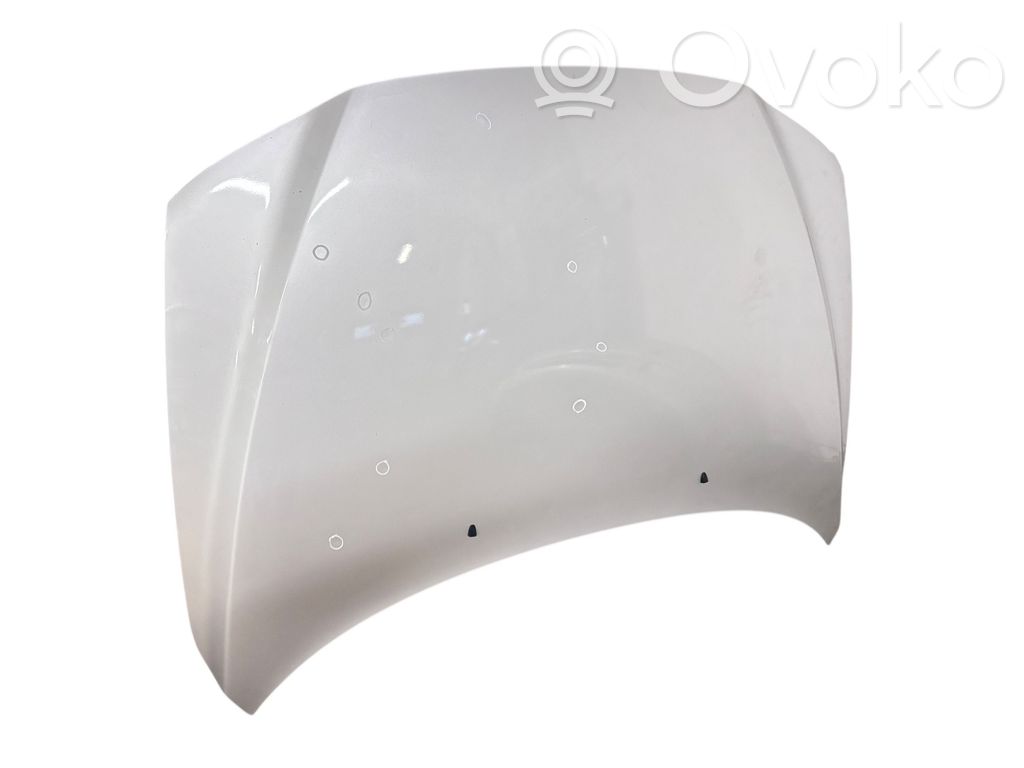 Engine bonnet/hood