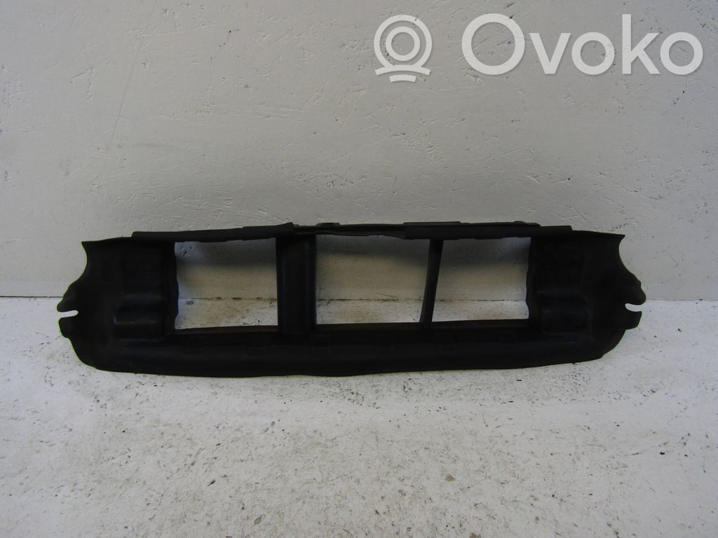 Ford Focus Radiatoru dekoratīvā apdare 