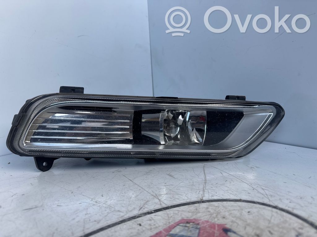 Volkswagen PASSAT B7 Etusumuvalo 