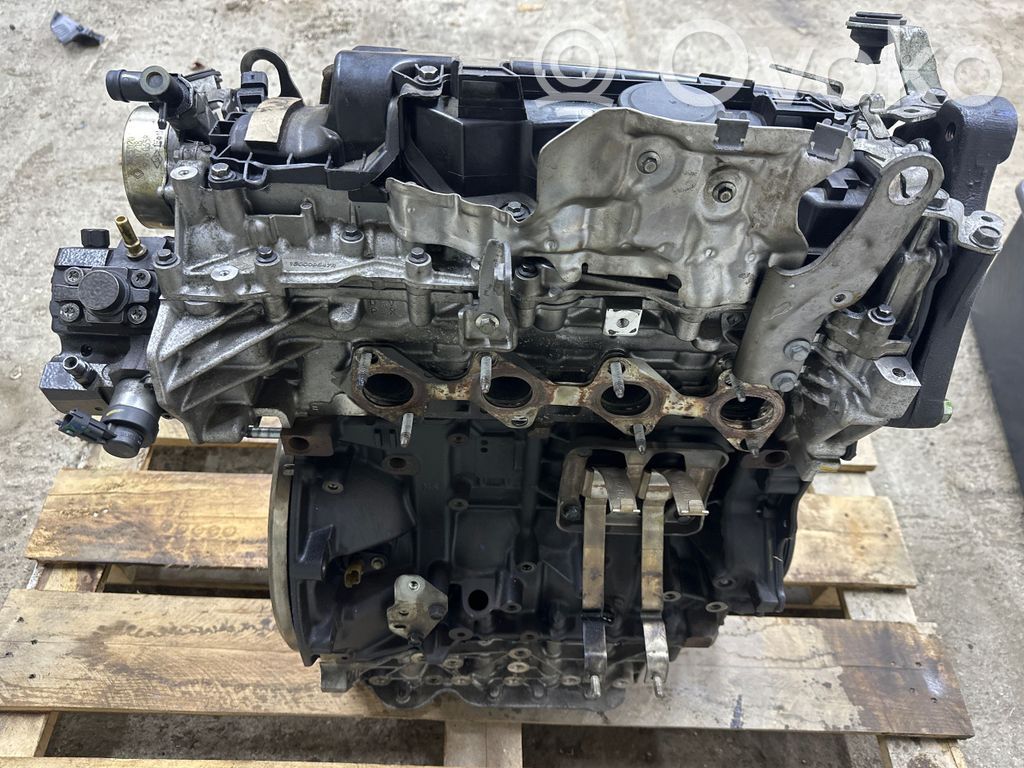 Renault Koleos II Двигатель 