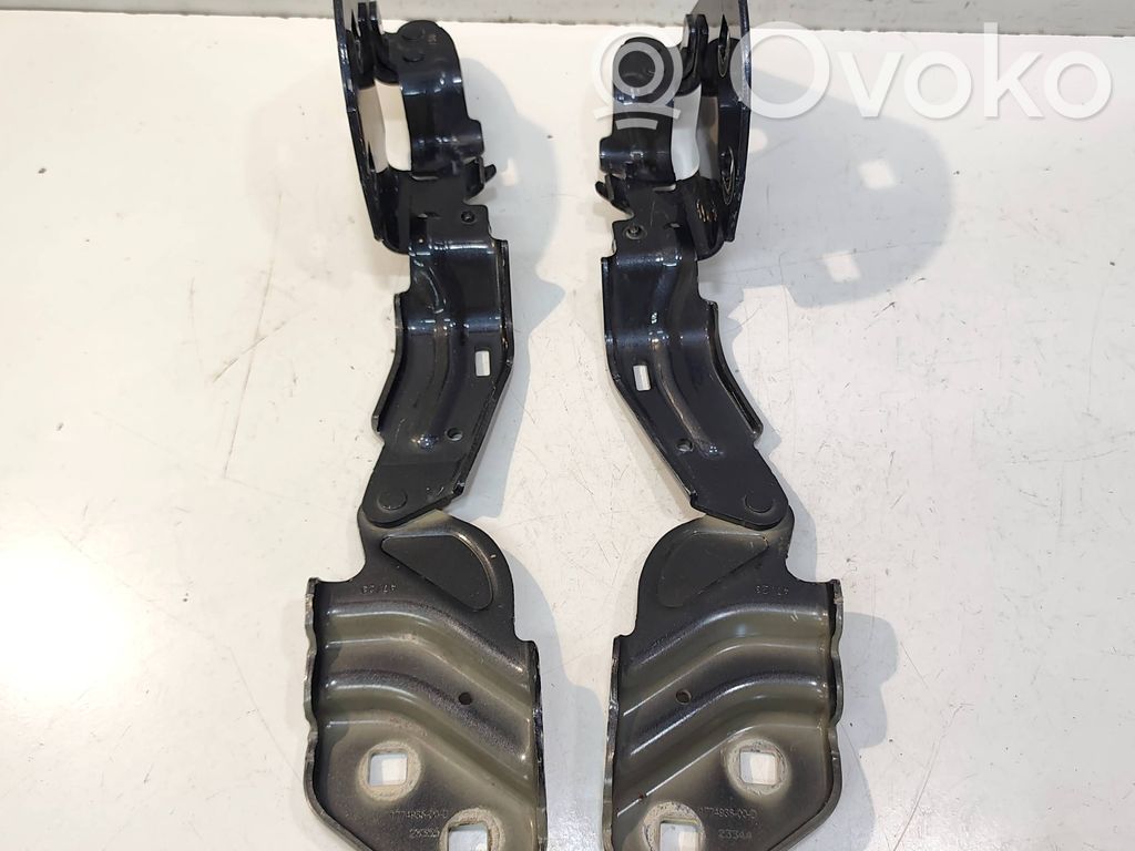 Tesla Model 3 Charnière, capot moteur 