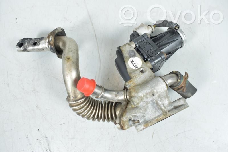 Válvula EGR   9675743180,9800555380