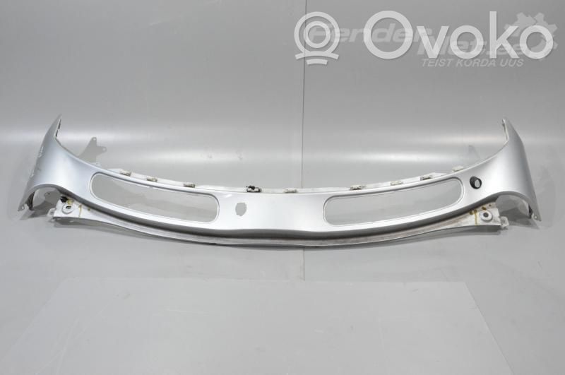 Wiper trim   41207137951