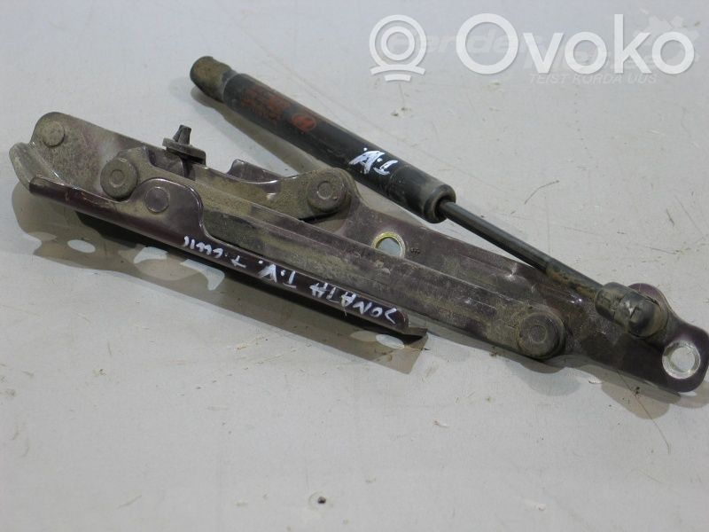 Hyundai Sonata Tailgate/trunk/boot hinge 