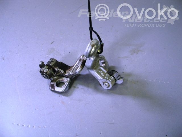 Front door hinge set   4089739