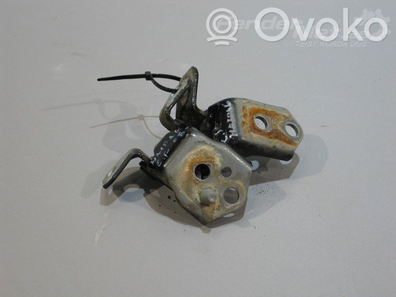 Front door hinge set   GS1D58210,D46159210