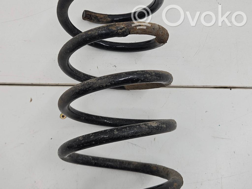 Rear coil spring