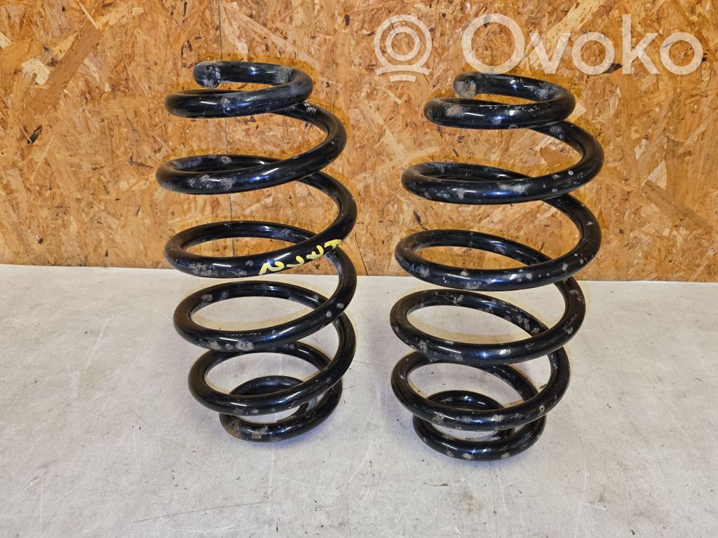 Rear coil spring