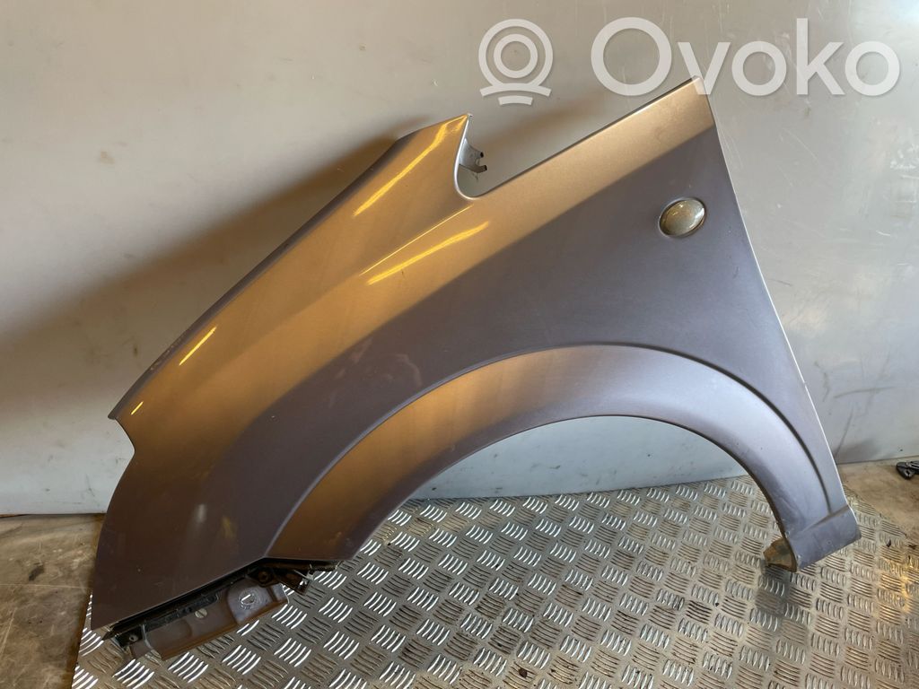 Opel Meriva A Fender 