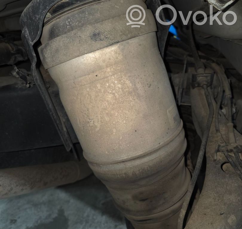 Land Rover Range Rover Sport L320 Amortyzator tylny 