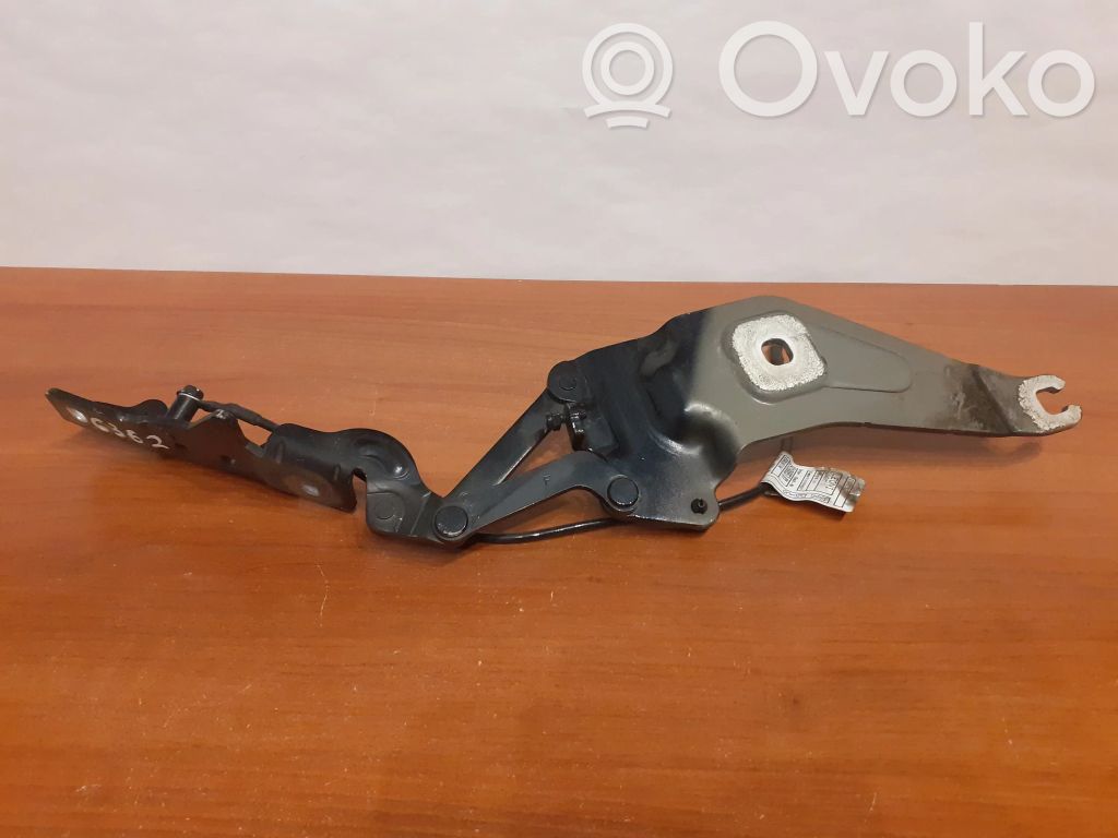 BMW X5 E70 Cerniere del vano motore/cofano 