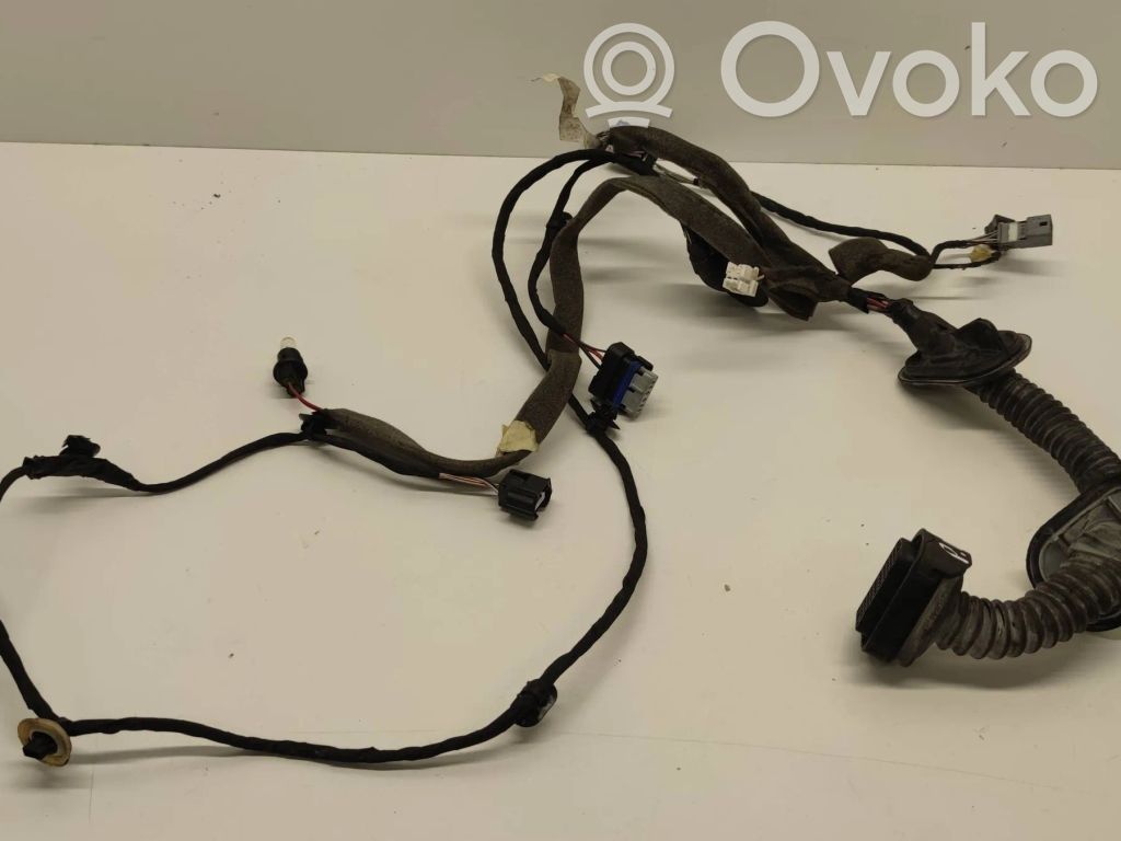 Renault Espace V (RFC) Cableado de puerta delantera 