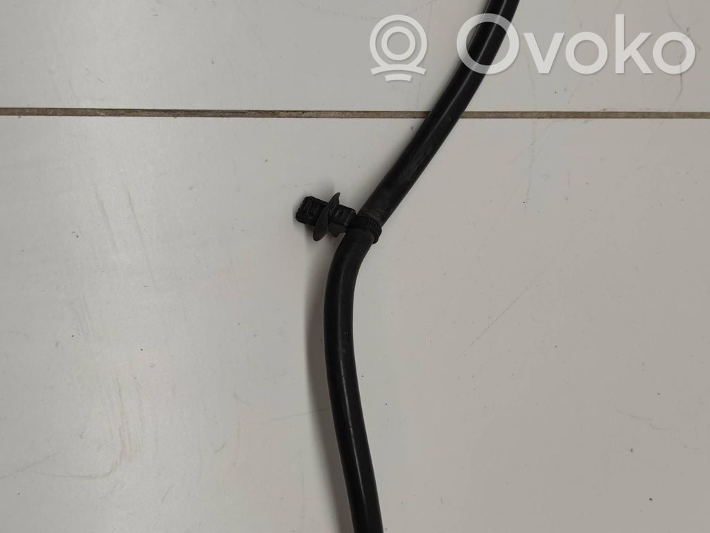 Ford Focus Cable negativo de tierra (batería) 
