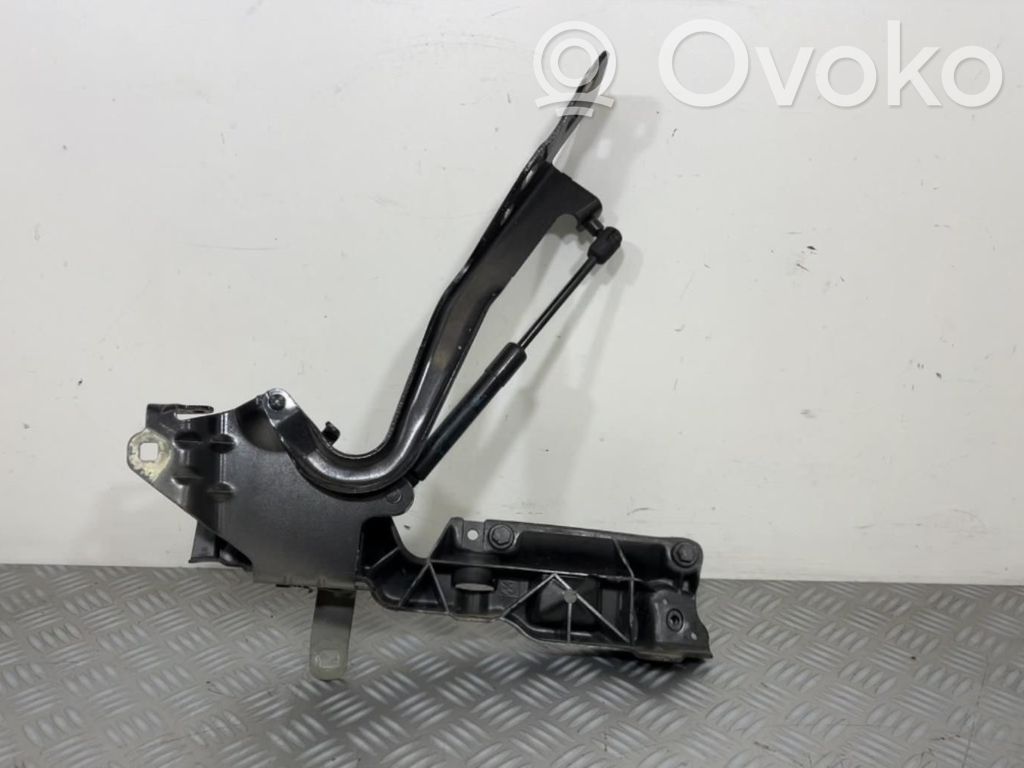 Renault Scenic III -  Grand scenic III Cerniere del vano motore/cofano 