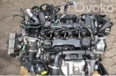 Motor   G8DB