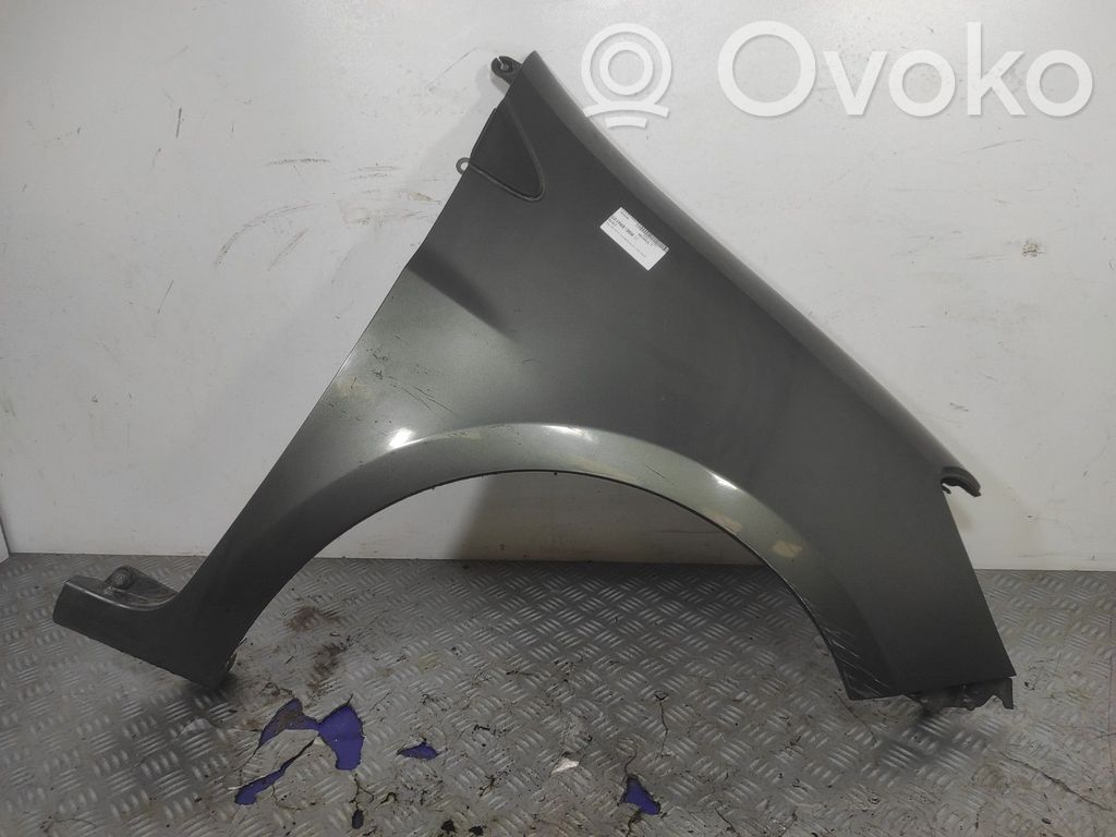 Renault Clio III Guardabarro 