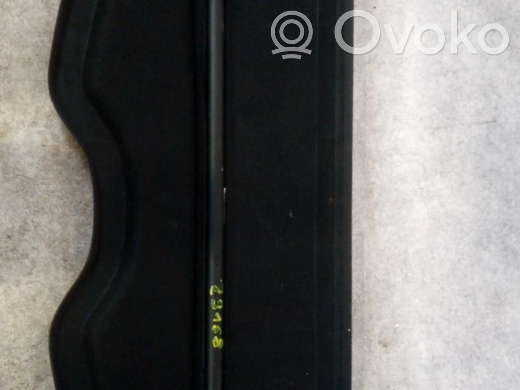 Renault Clio III Hattuhylly 