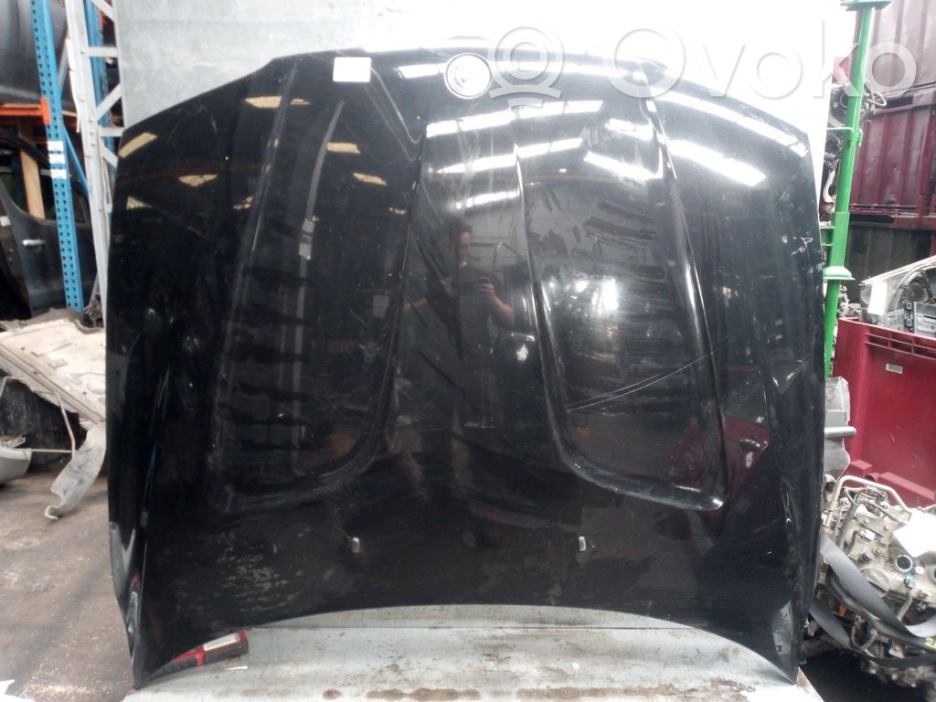 Dzinēja pārsegs (vāks)   41003449411