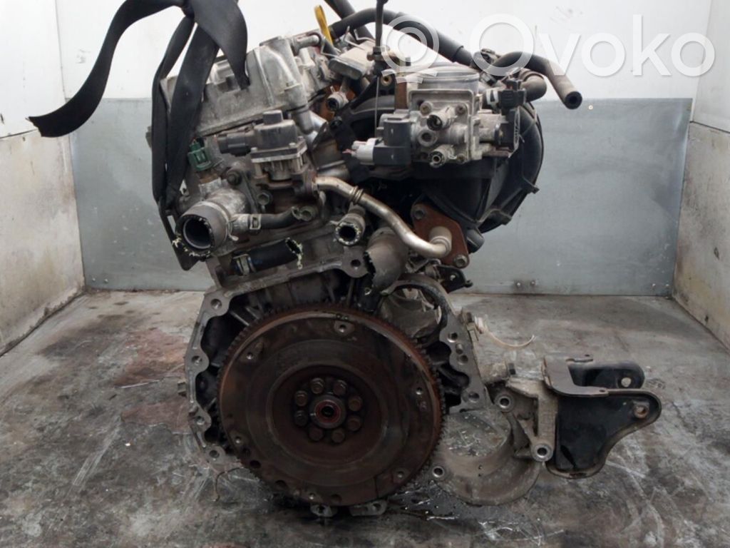 Motor   DCD13102021